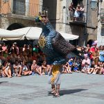 Els Gegants omplen Torroella per Sant Genís 2026! aliga torroella sant genís 2026